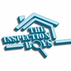 The-Inspection-Boys