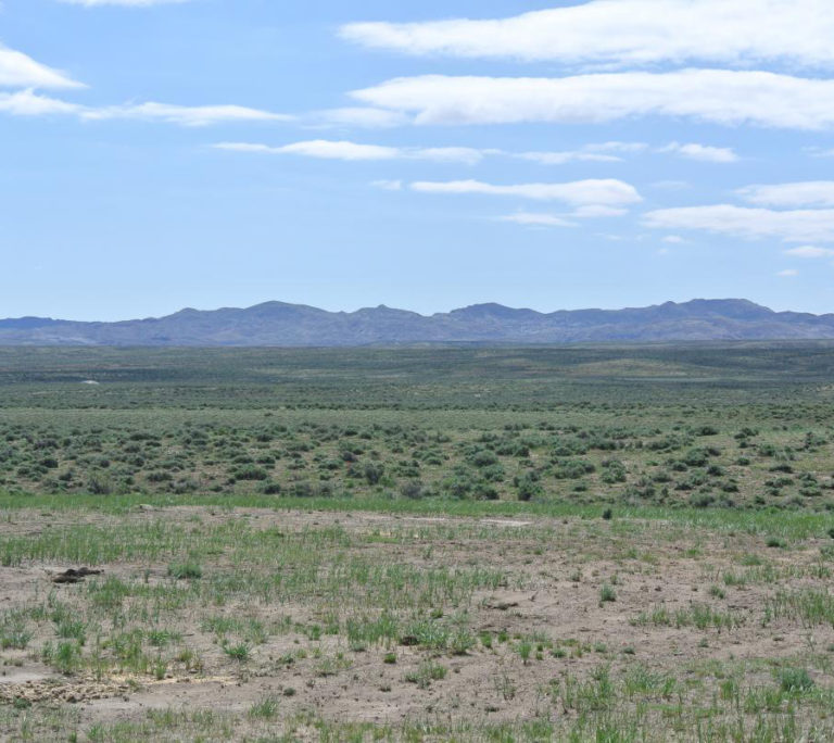 Medicine Bow Ranch 63 Cozy Coats for Kids